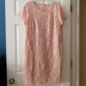 NWT LOFT pink lace dress